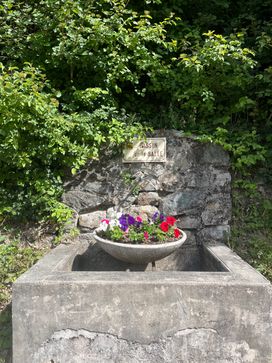 IMG_5779.jpg