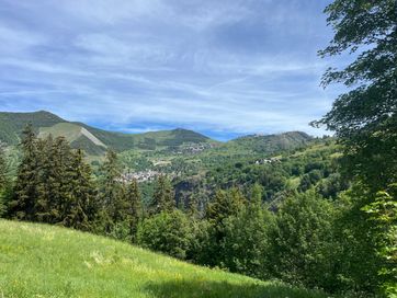 IMG_5782.jpg