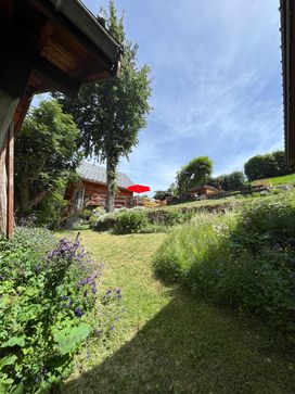 IMG_5784.jpg