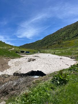 IMG_5794.jpg
