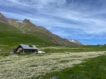 IMG_5798.jpg