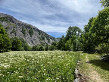 IMG_5808.jpg