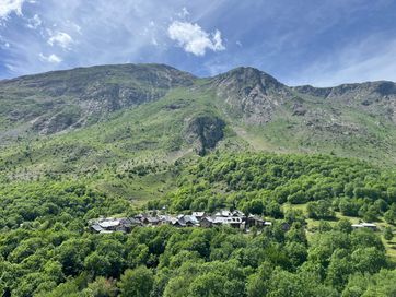 IMG_5813.jpg