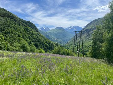 IMG_5814.jpg