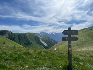 IMG_5824.jpg