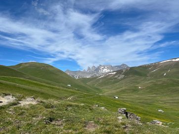 IMG_5826.jpg