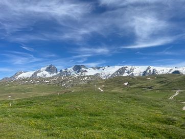 IMG_5827.jpg