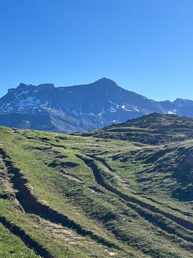 IMG_5863.jpg