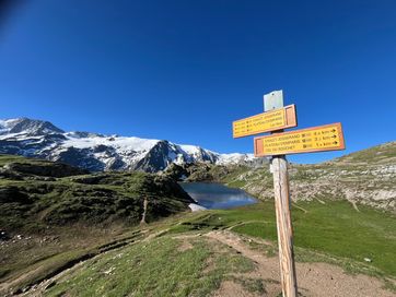 IMG_5864.jpg