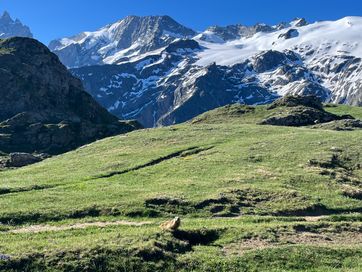 IMG_5868.jpg