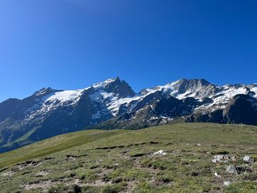 IMG_5873.jpg