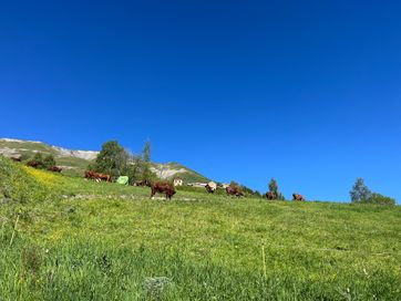 IMG_5876.jpg