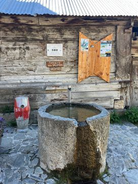 IMG_5878.jpg