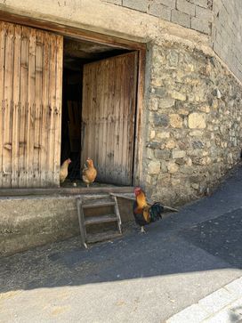 IMG_5885.jpg