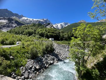 IMG_5890.jpg