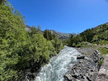 IMG_5891.jpg