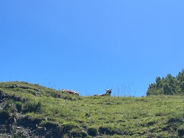 IMG_5893.jpg