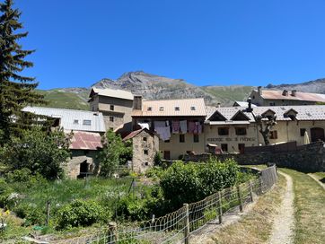 IMG_5895.jpg