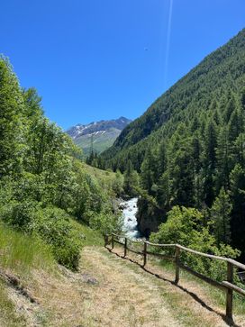 IMG_5900.jpg