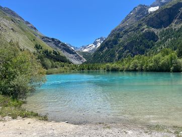 IMG_5905.jpg