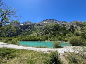 IMG_5906.jpg