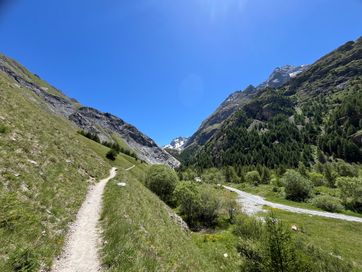IMG_5908.jpg