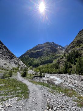 IMG_5909.jpg