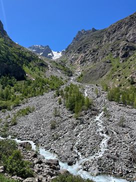 IMG_5912.jpg