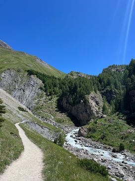IMG_5913.jpg