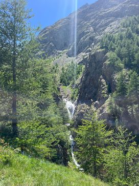 IMG_5917.jpg