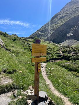 IMG_5919.jpg