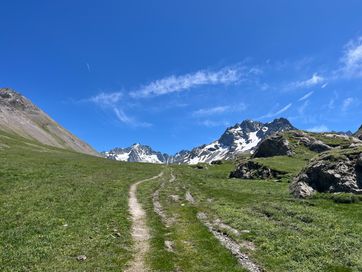 IMG_5920.jpg