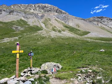 IMG_5921.jpg