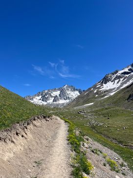 IMG_5925.jpg