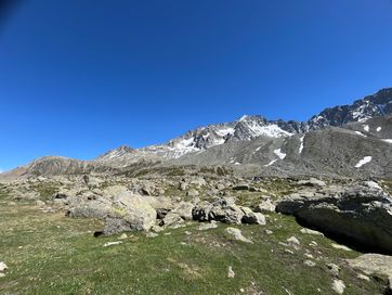 IMG_5926.jpg