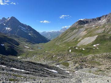 IMG_5943.jpg