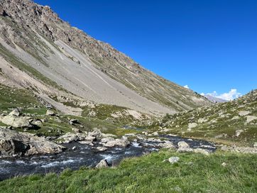 IMG_5945.jpg