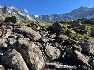 IMG_5965.jpg