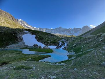 IMG_5967.jpg