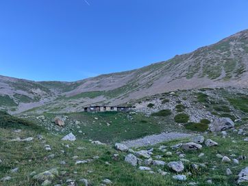 IMG_5981.jpg