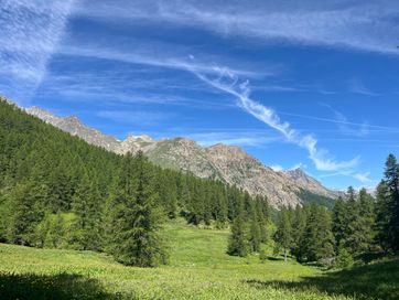 IMG_5993.jpg