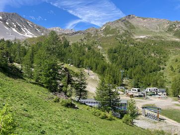IMG_5995.jpg