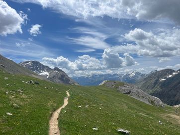 IMG_6007.jpg