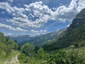IMG_6018.jpg