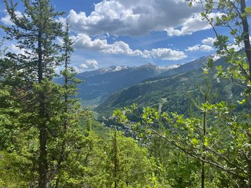 IMG_6020.jpg