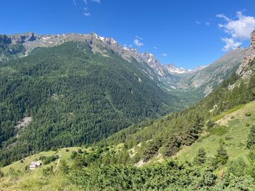 IMG_6043.jpg