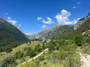 IMG_6045.jpg
