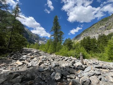 IMG_6049.jpg