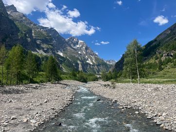 IMG_6050.jpg