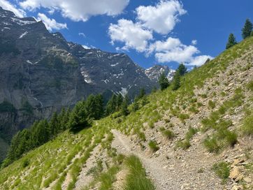 IMG_6051.jpg